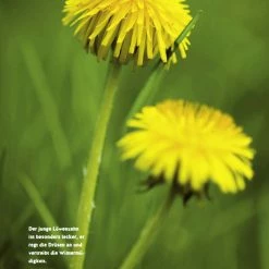 GU - Mein Gartenkalender 2022 10 GU - Mein Gartenkalender 2022 -GU shop unnamed file 1141
