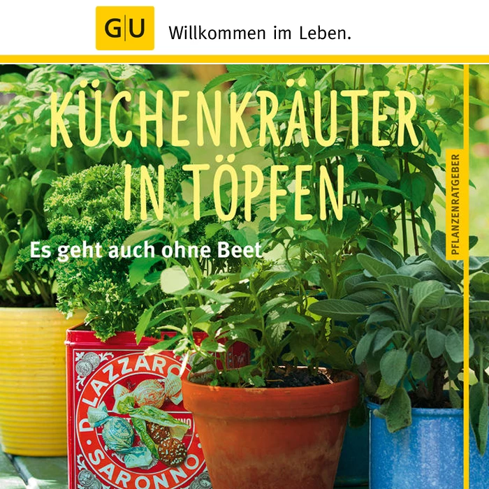 Kaiser Küchenkräuter In Töpfen 1 Kaiser Küchenkräuter In Töpfen