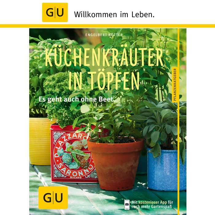 Kaiser Küchenkräuter In Töpfen 2 Kaiser Küchenkräuter In Töpfen – Bild 2