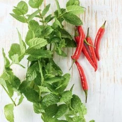GU - Kochen Für Den Vorrat 6 GU - Kochen Für Den Vorrat -GU shop unnamed file 975